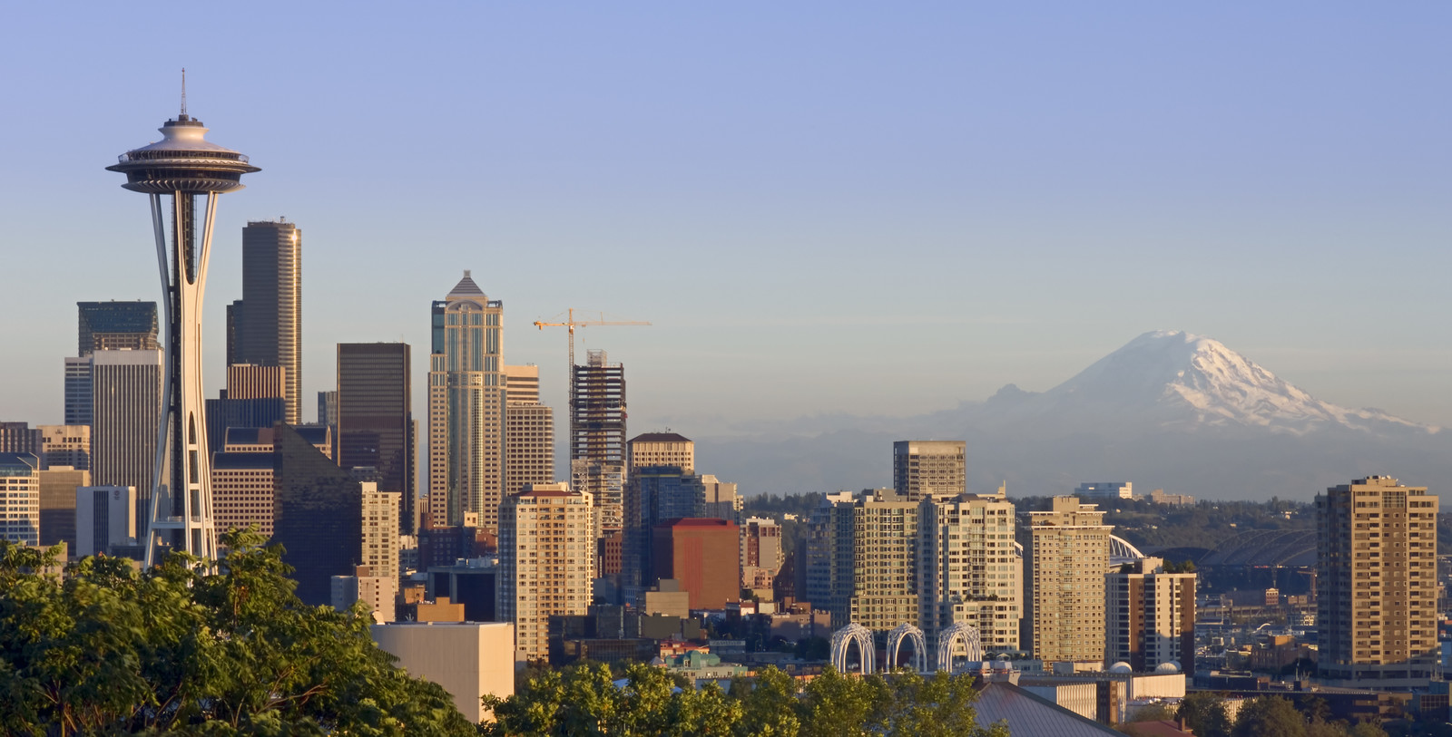 Making moves stress-free, simple, and fast for families and businesses in Seattle, WA