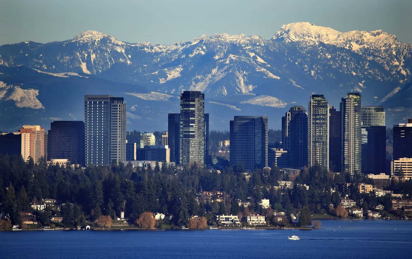 We make moving fast, stress-free, and simple for families and businesses across Bellevue, WA